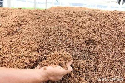 富含多種營養物質的有機肥料——花生麩生物有機肥料研發