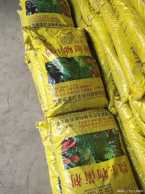 為何國家鼓勵農民使用生物有機肥并給予補貼？答案在這！生物有機肥料研發