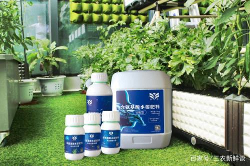皇圖生態農業 立足魚肽有機肥自主研發，引領綠色種植新革命