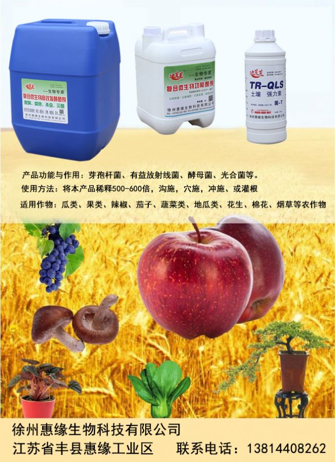 綠色農業的引擎 生物技術與新型肥料研發推廣的路徑與展望